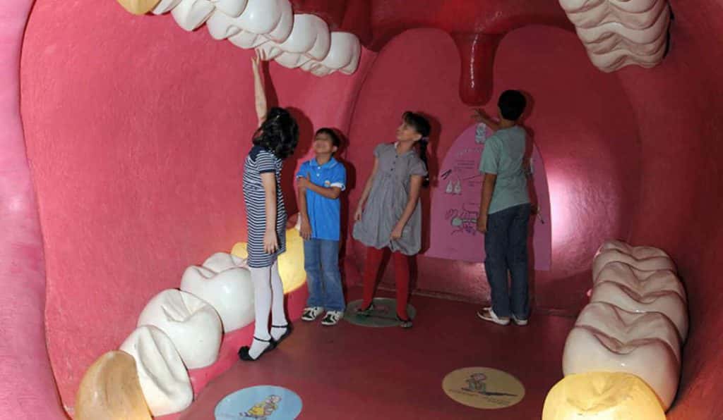 Blog Experience Image