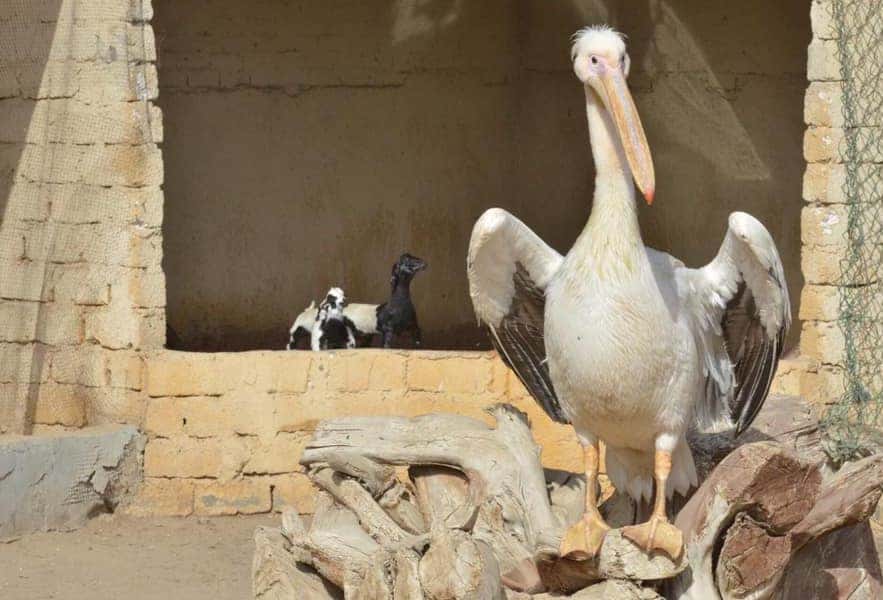 Blog Experience Image