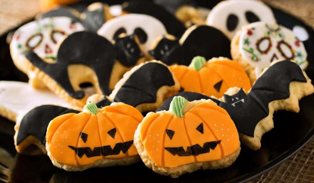 Blog Experience Image