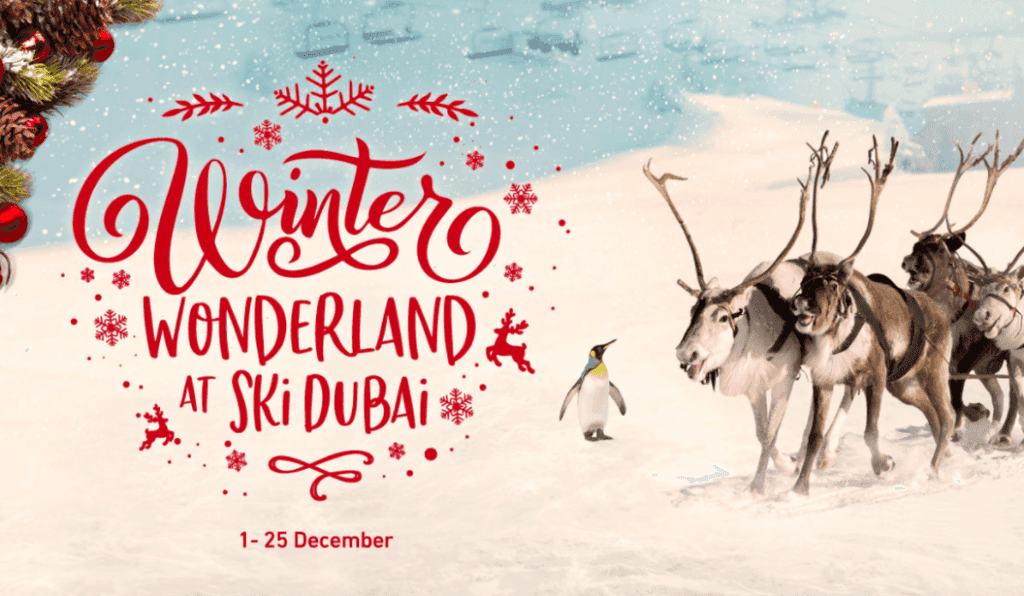 Blog Experience Image