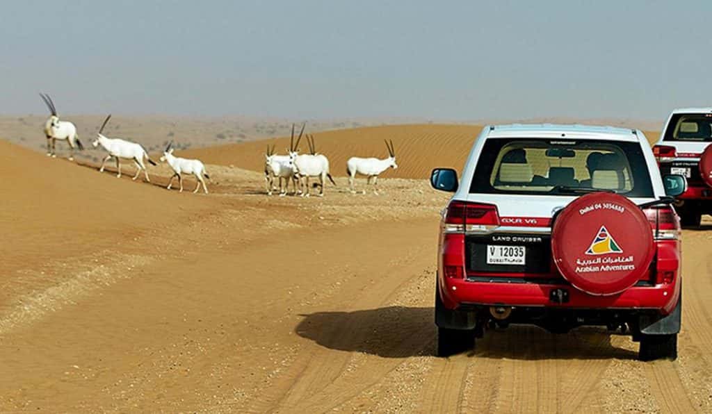 Blog Experience Image