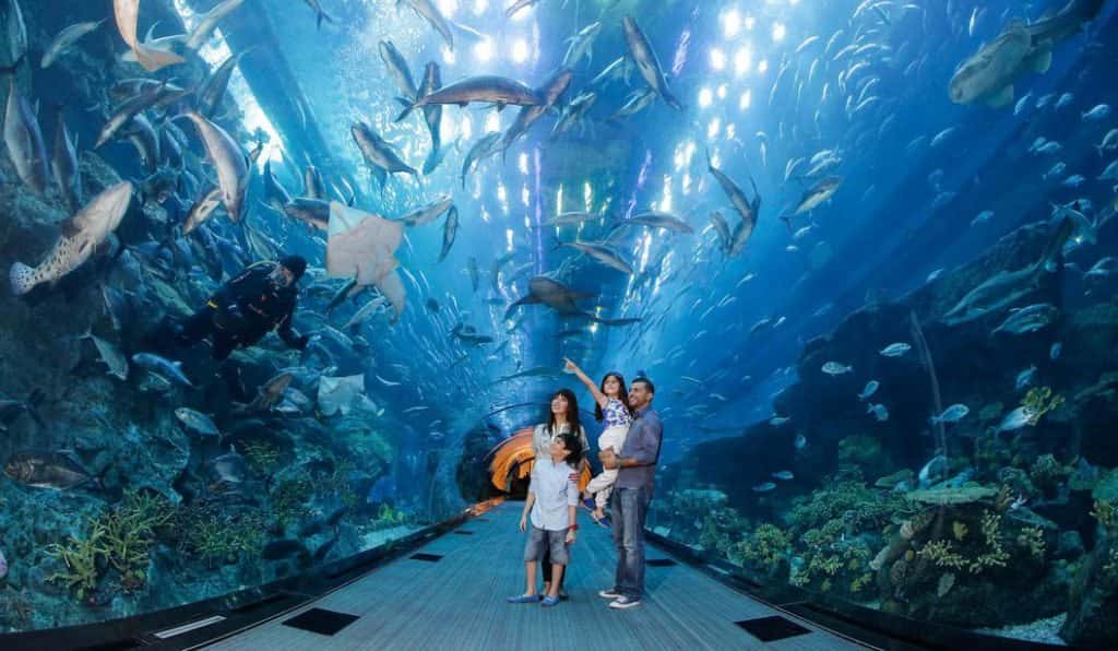 Blog Experience Image