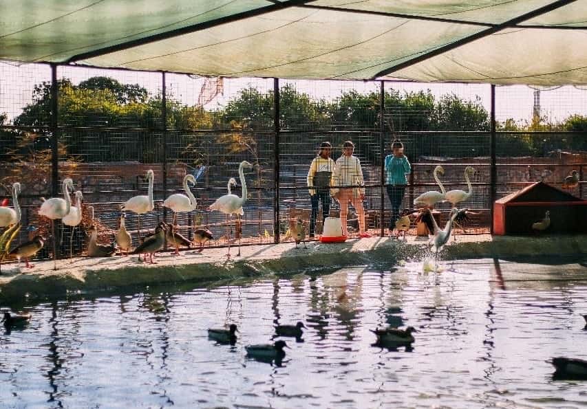 Blog Experience Image