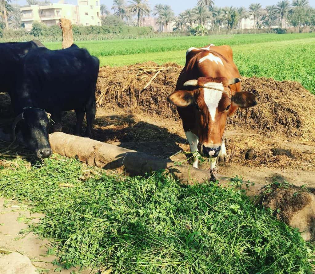 Blog Experience Image