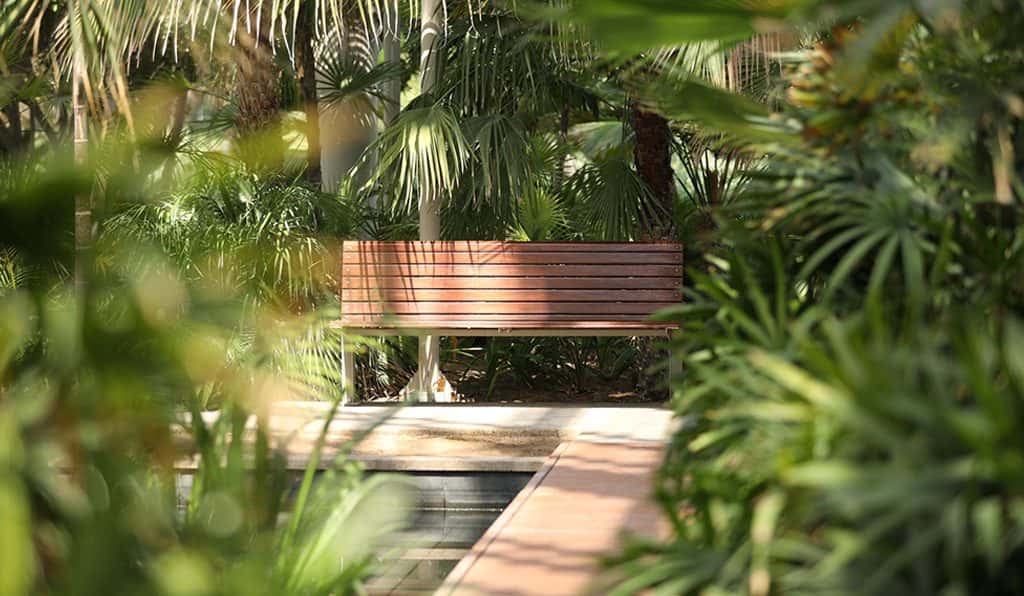 Blog Experience Image