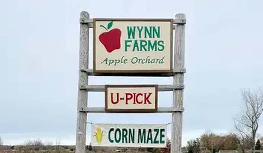Wynn Farms