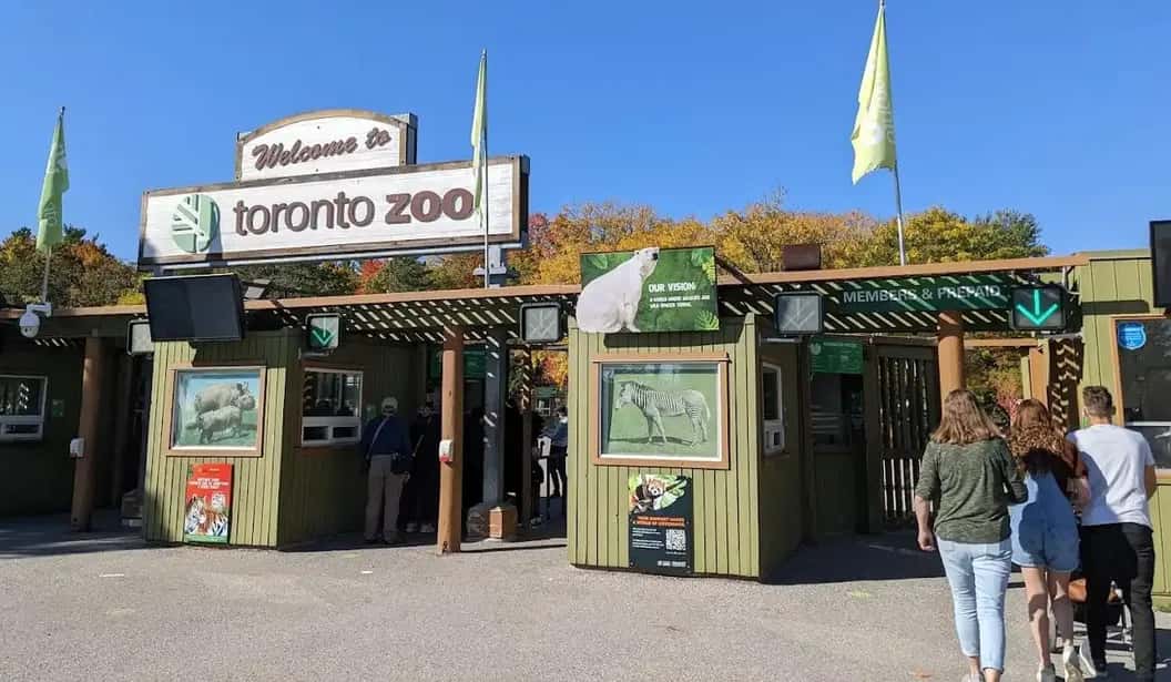 Toronto Zoo Experiences Scarborough