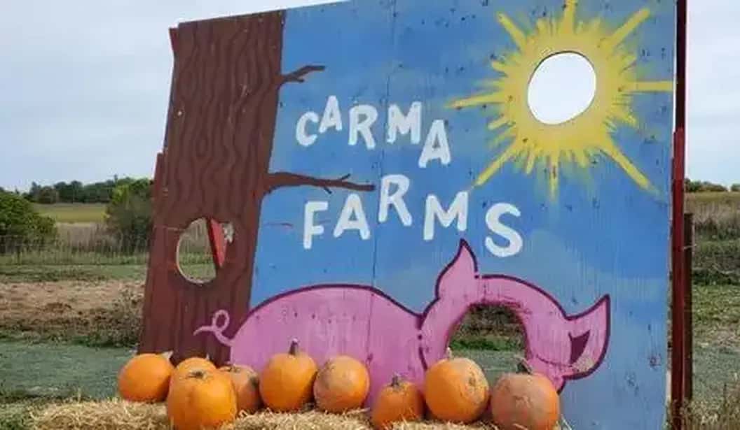 Fall Farm Visit with Animals, Play & Fresh Produce