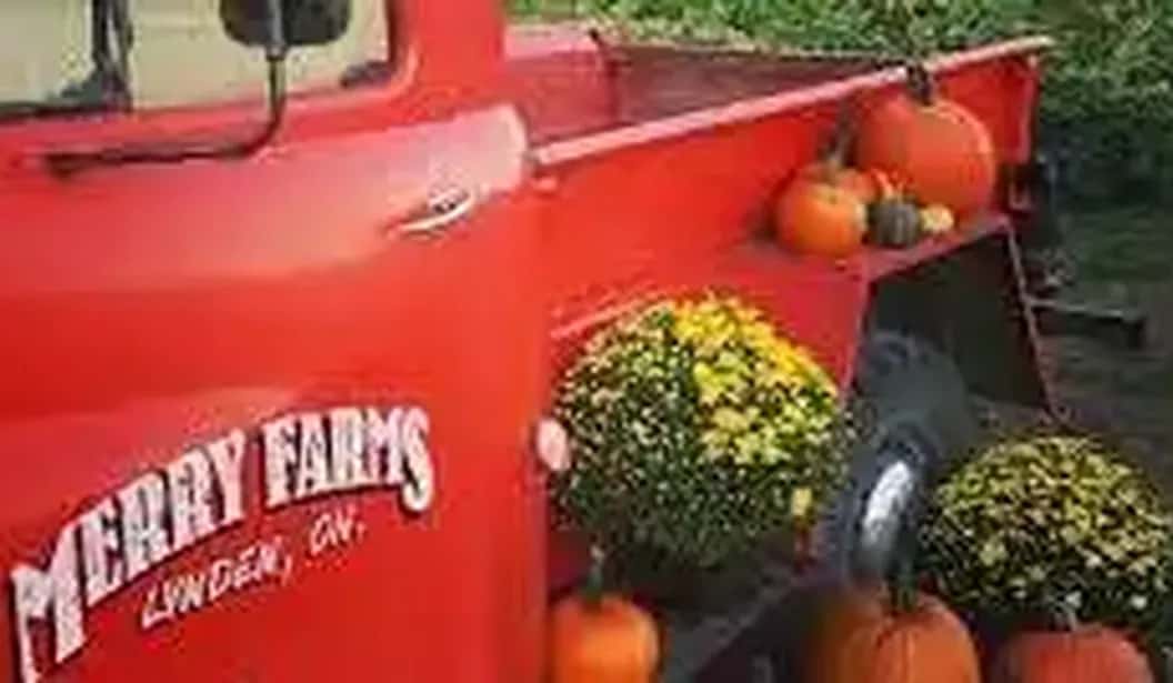 Merry Farms
