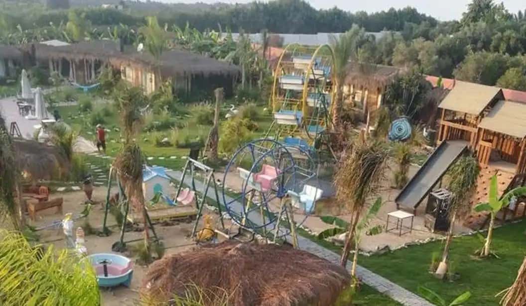 Banana Camp