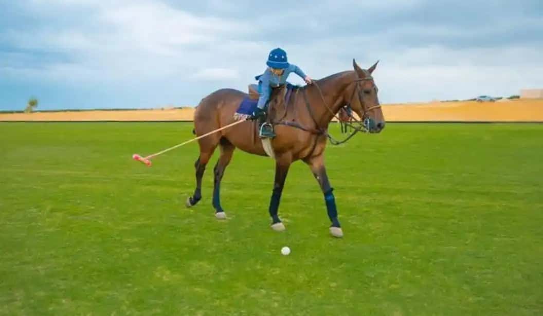 Kings Polo