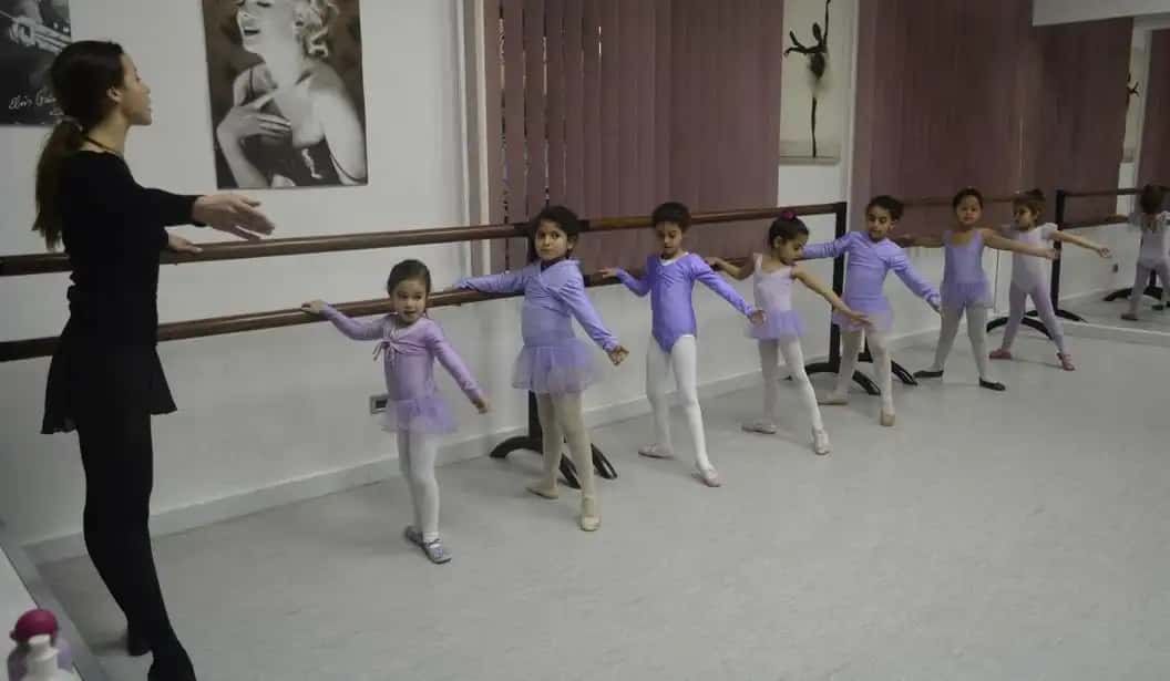 Danzone Studio