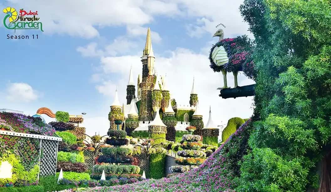 Blog Experience Image