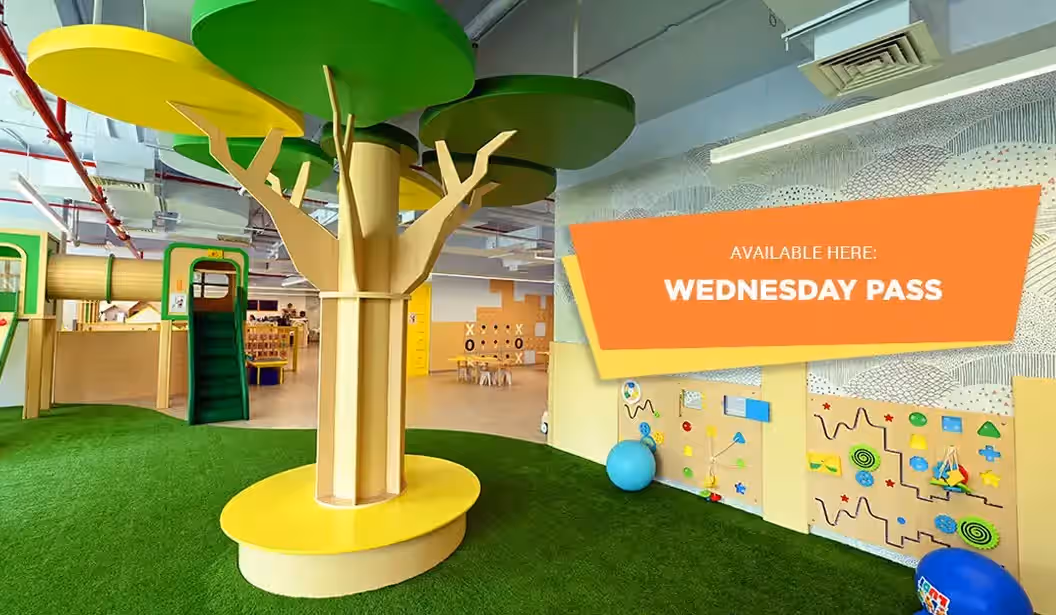 Blog Experience Image