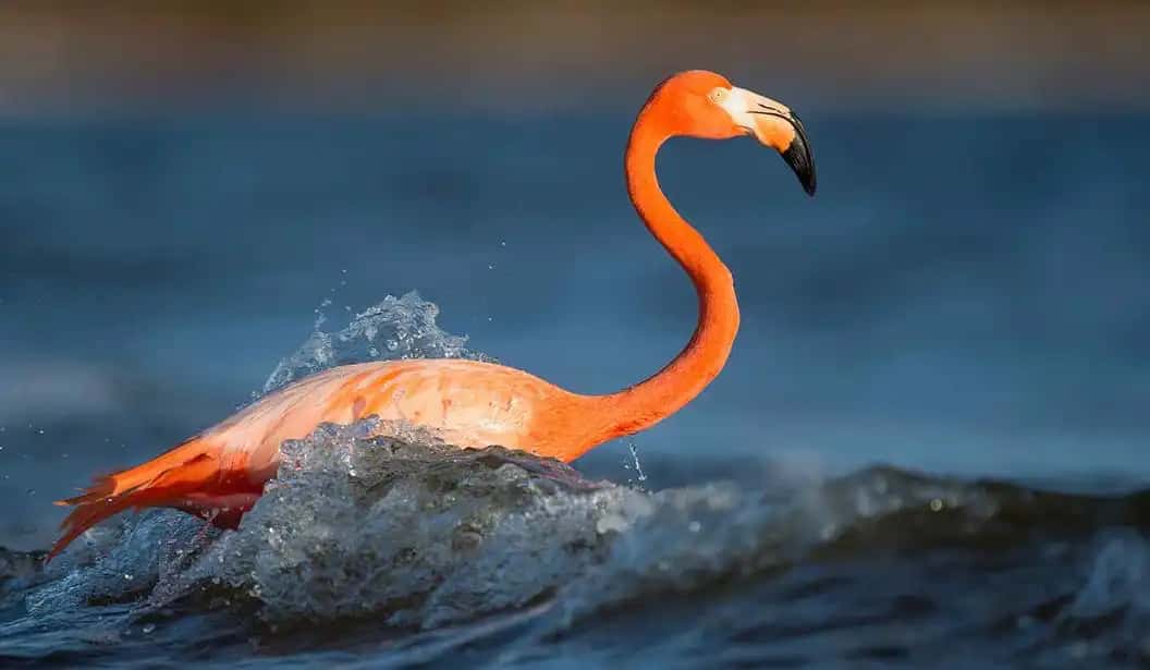 Blog Experience Image