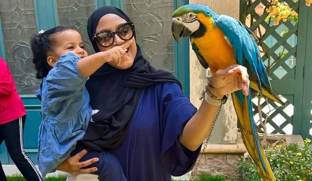 Blog Experience Image