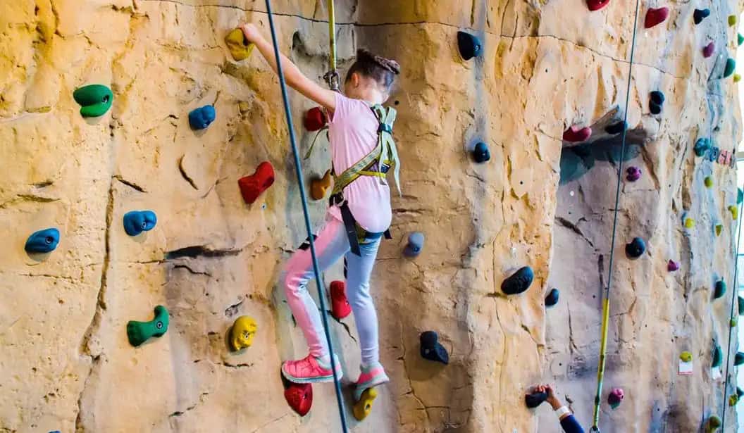 Blog Experience Image