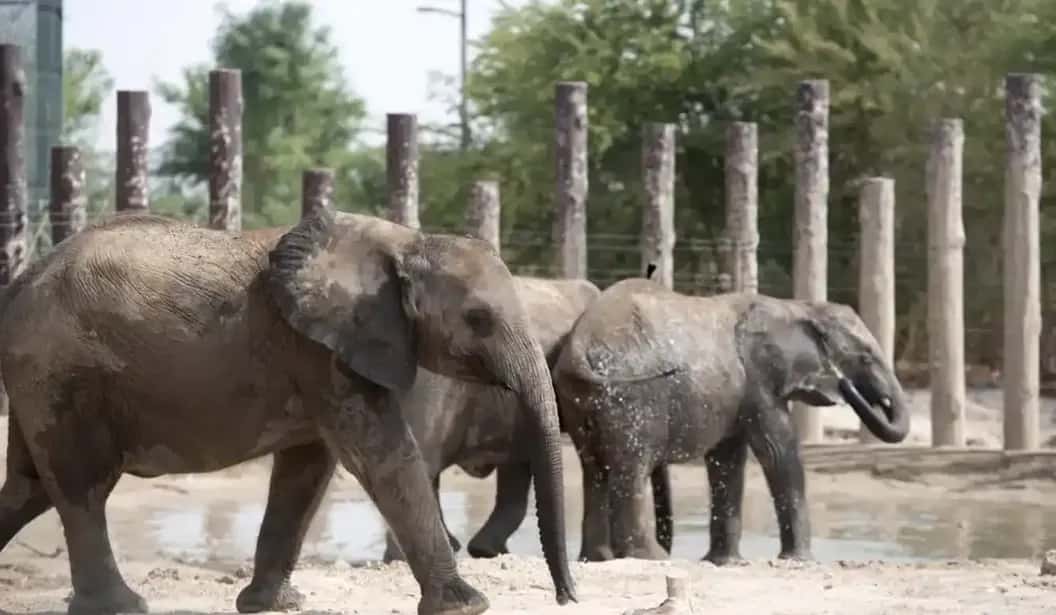 Blog Experience Image