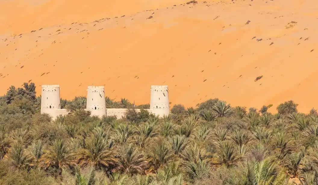 Blog Experience Image