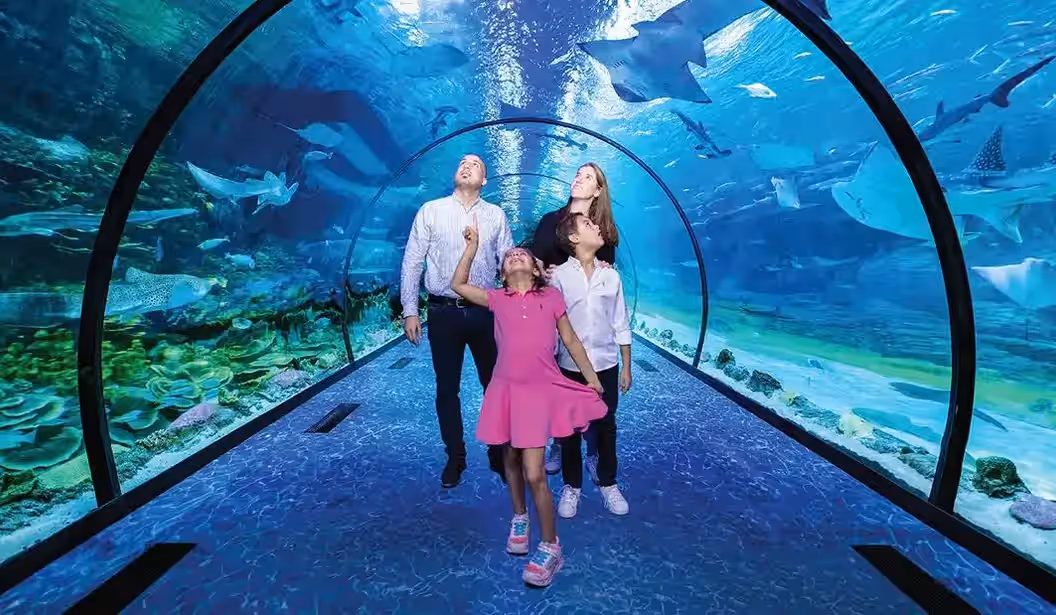 Blog Experience Image