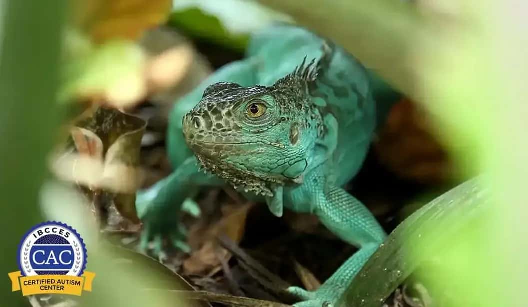 Blog Experience Image