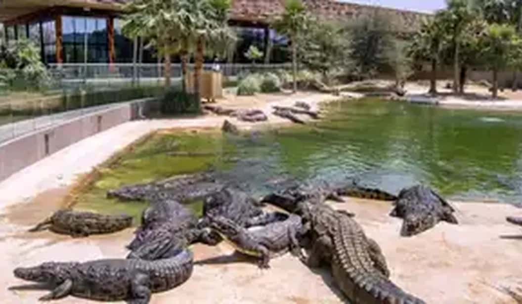 Blog Experience Image