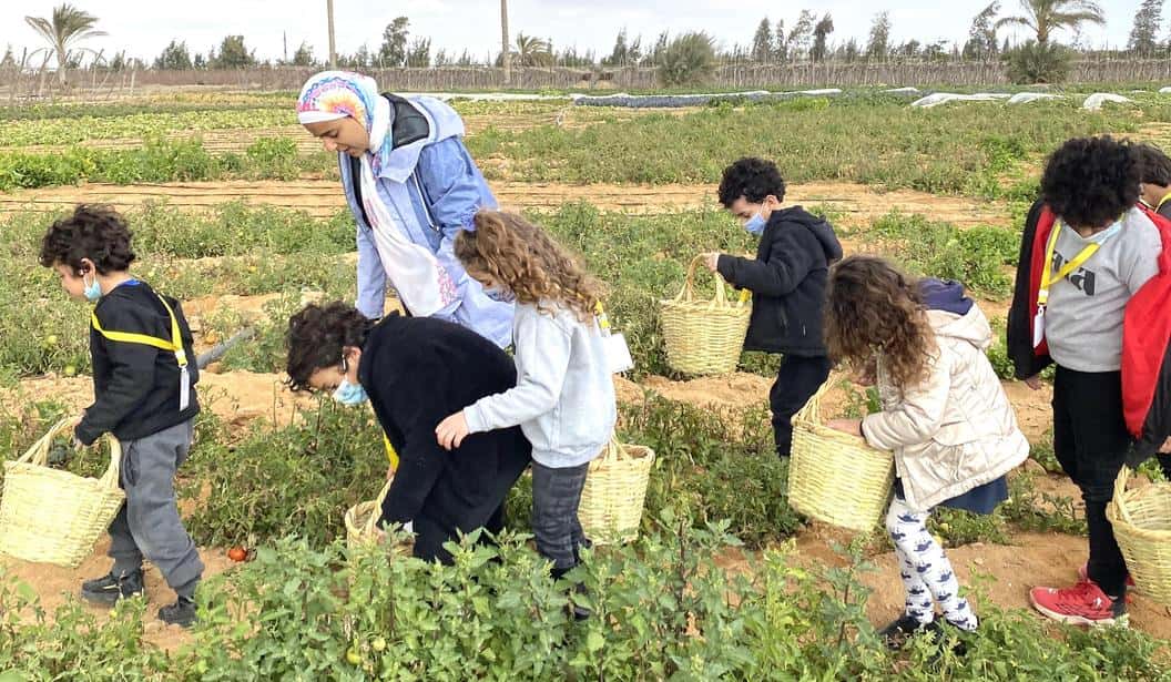 Blog Experience Image