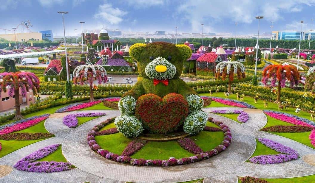 Blog Experience Image