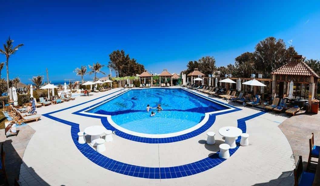 Blog Experience Image