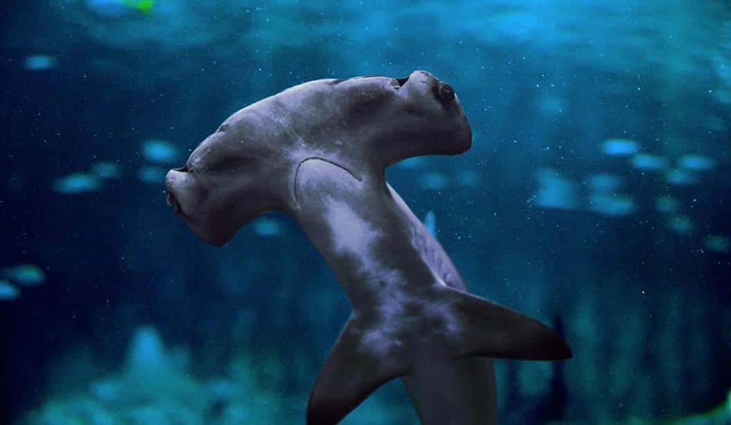 Blog Experience Image