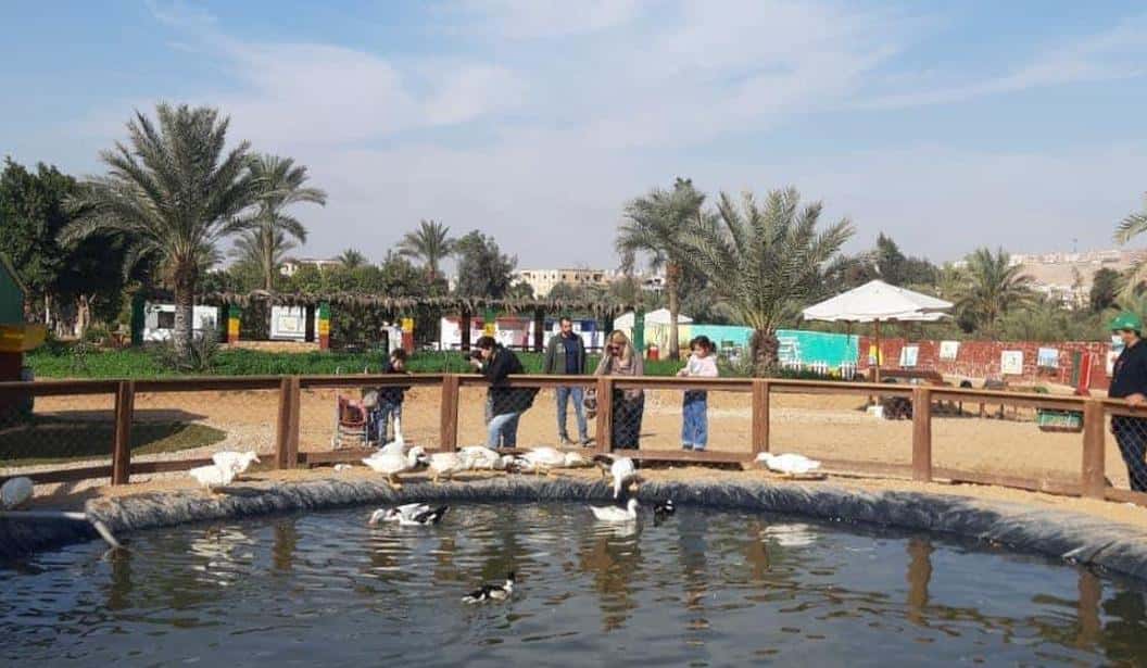 Blog Experience Image