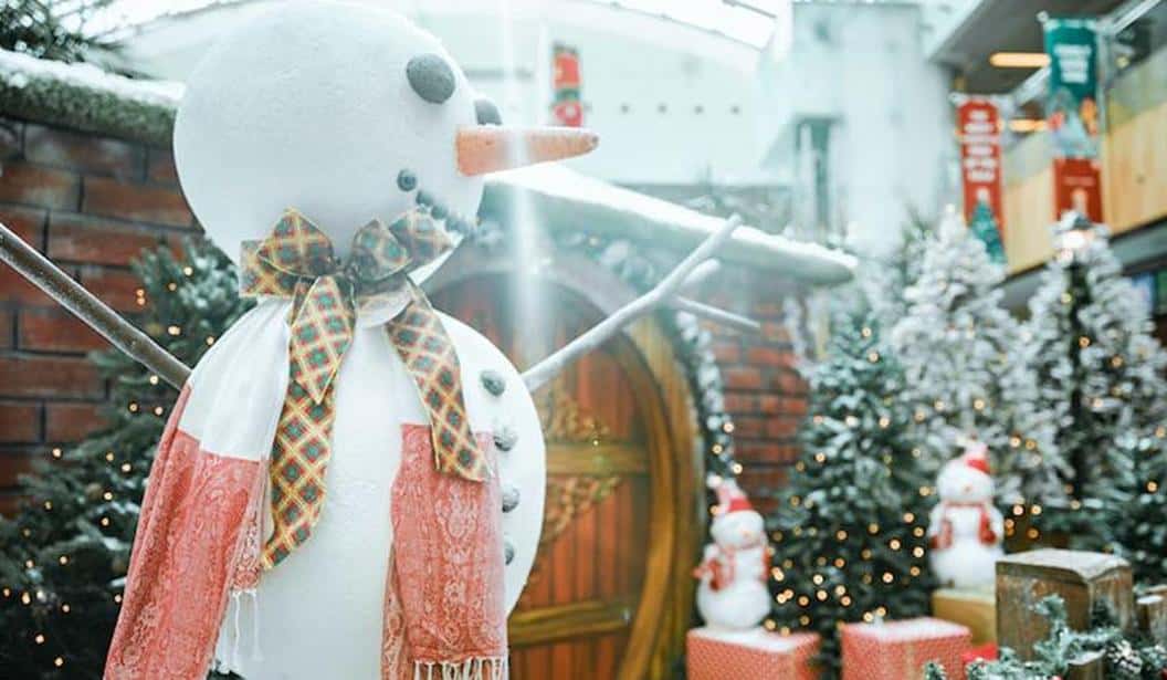 Blog Experience Image