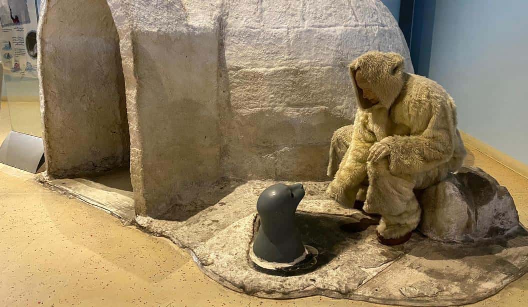 Blog Experience Image