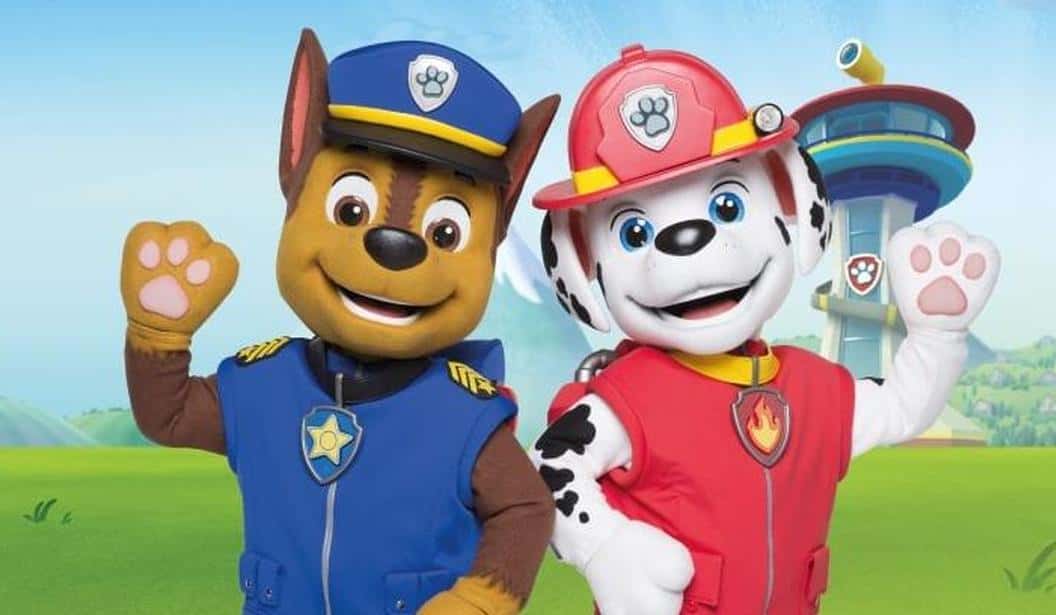 Blog Experience Image