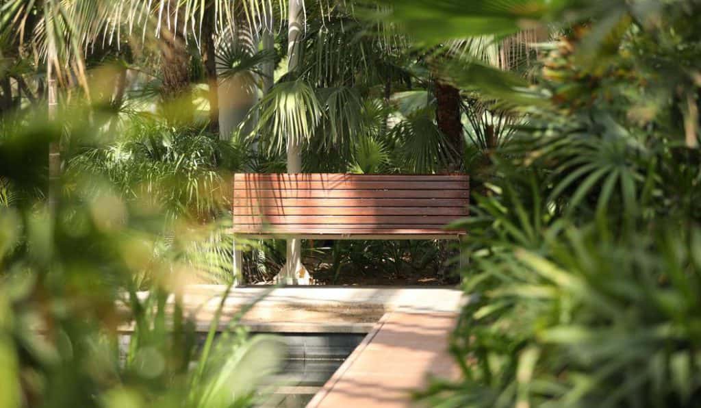 Blog Experience Image