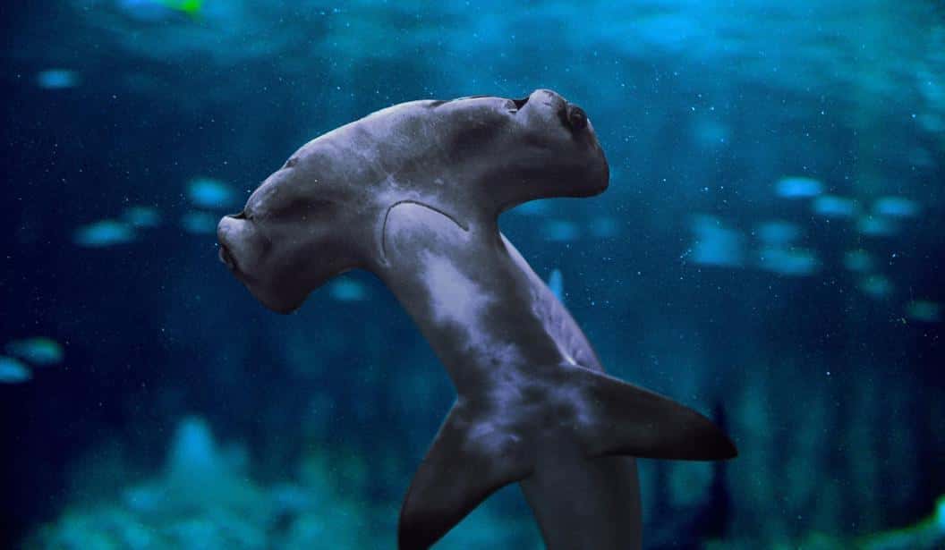 Blog Experience Image