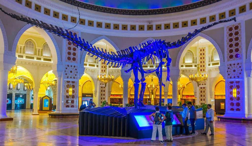 Blog Experience Image