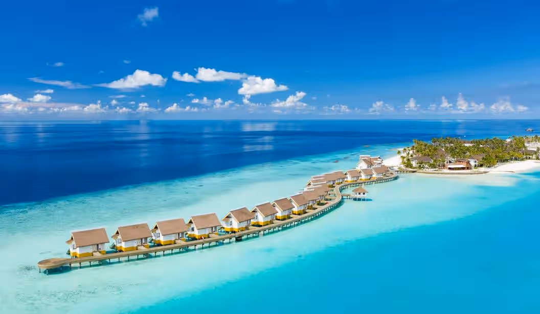 Blog Experience Image