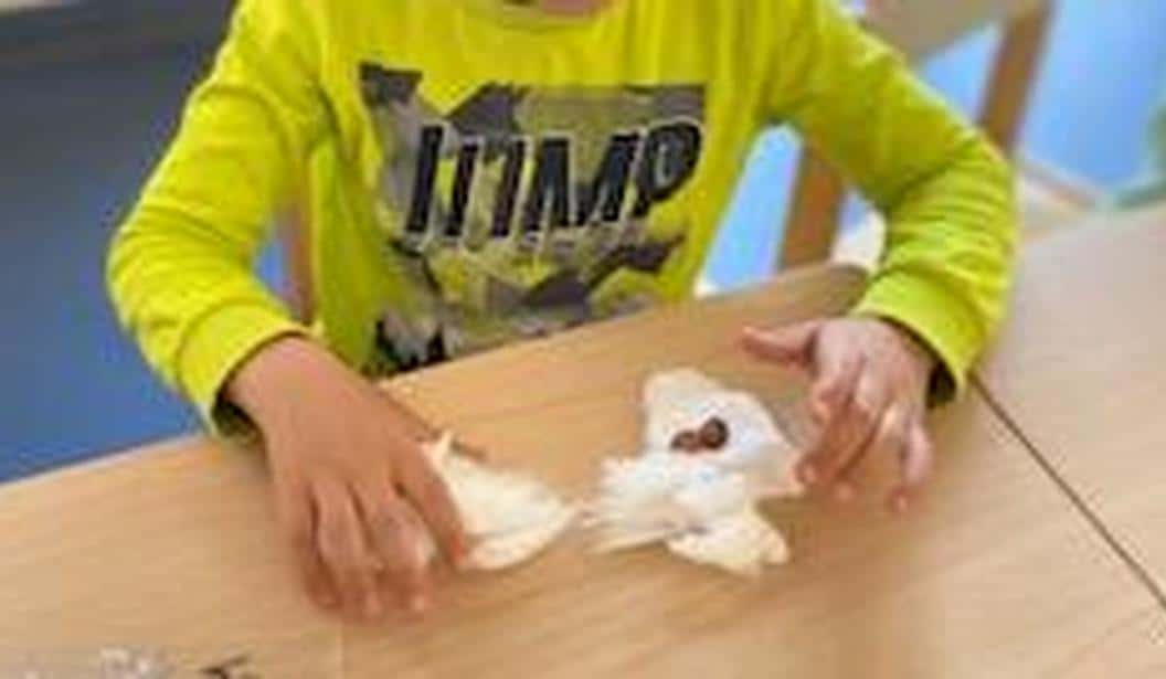 Blog Experience Image