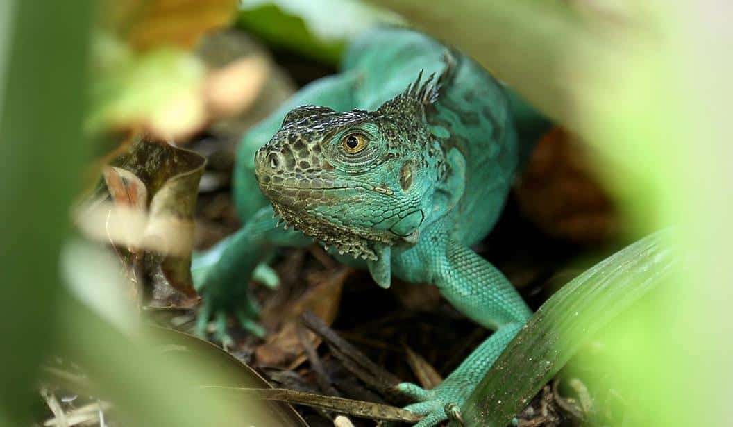 Blog Experience Image