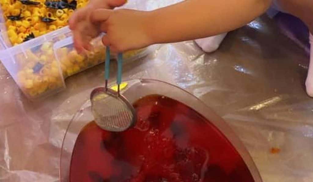 Blog Experience Image