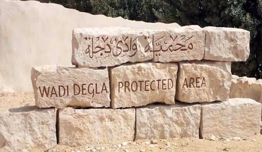 Blog Experience Image