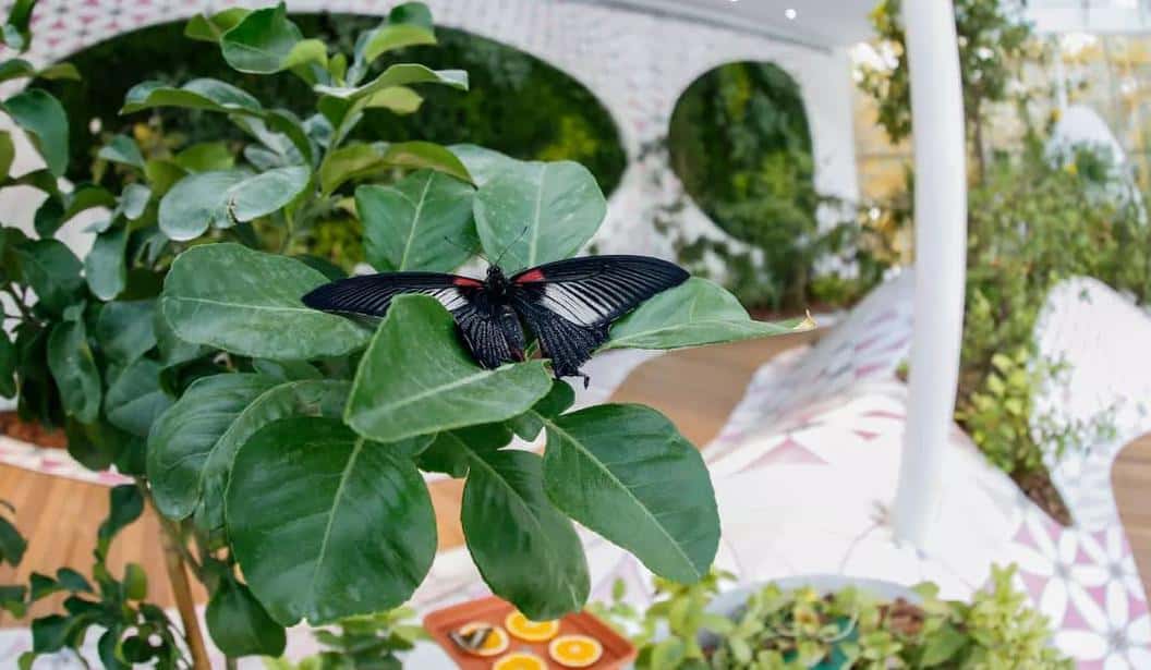 Blog Experience Image