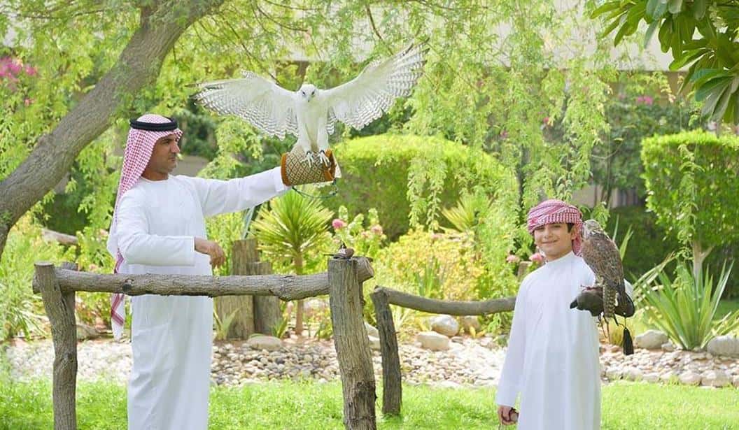 Blog Experience Image