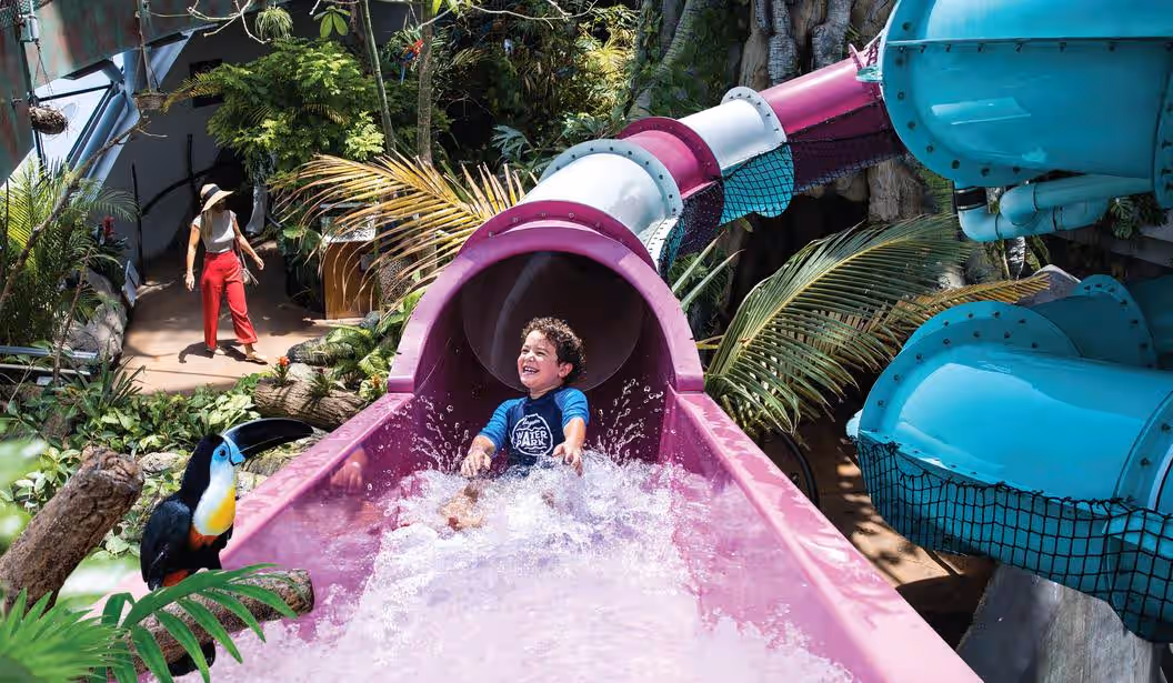 Blog Experience Image