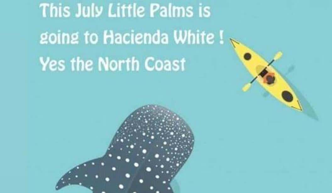 Blog Experience Image