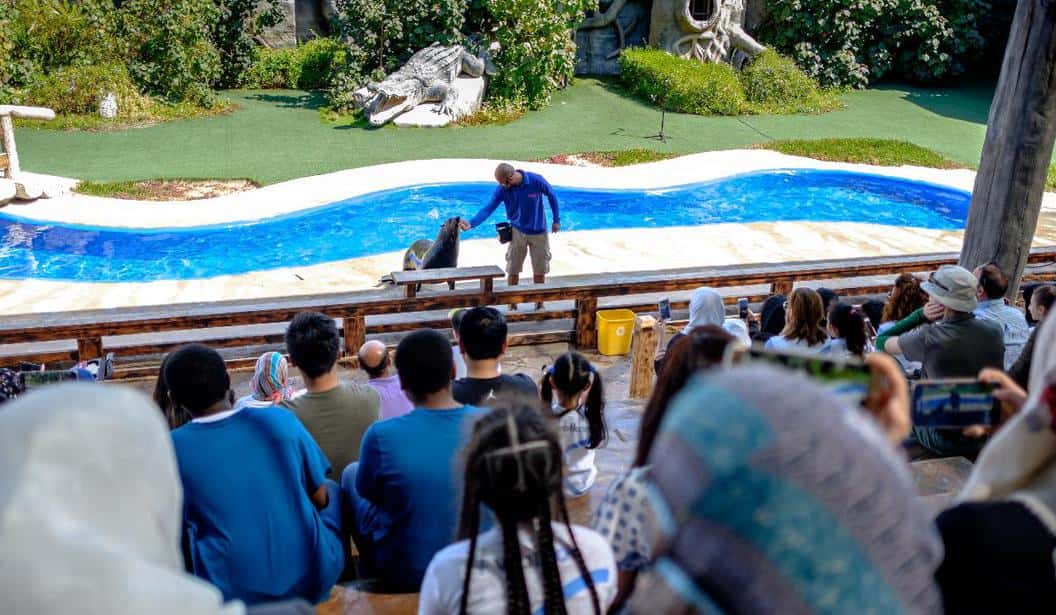 Blog Experience Image