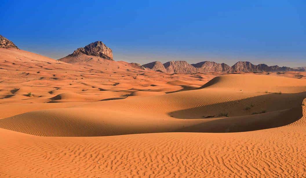 Blog Experience Image