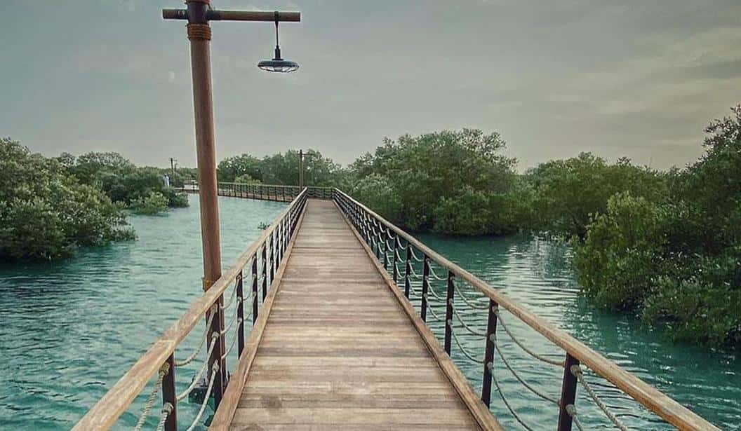 Blog Experience Image