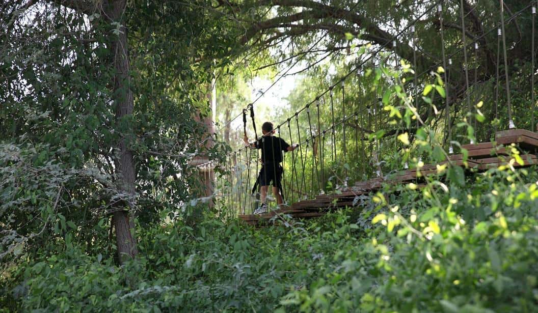 Blog Experience Image